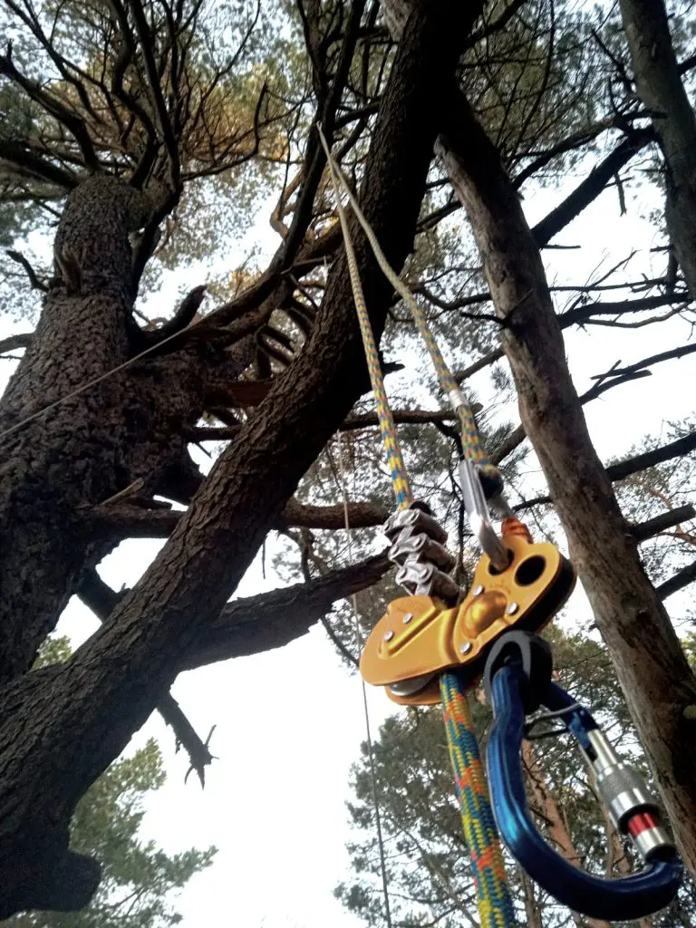 sistema en cuerda doble para la trepa de árboles